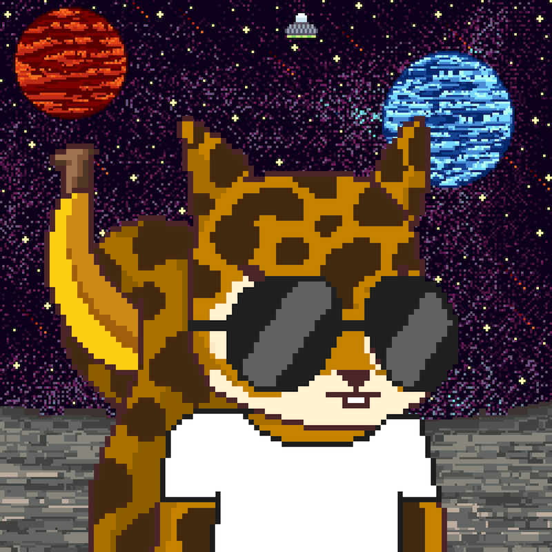 Pixel Squirrels #2880